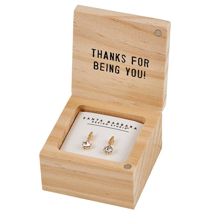 Treasure Box Earrings- One/Mil