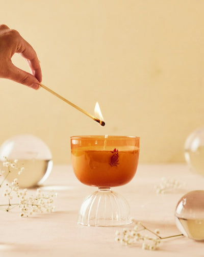 Mimosa Coupe Candle