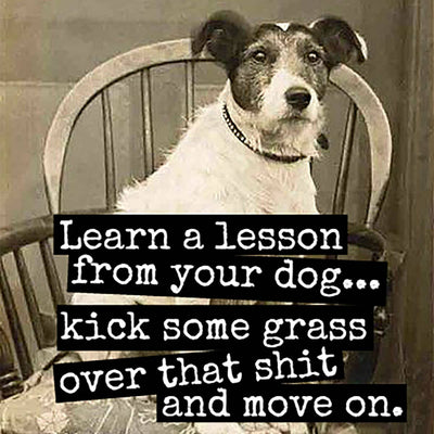 Learn a Lesson From Your Dog- Fridge Magnet