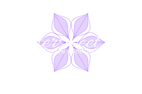 Bittersweet Ivy Boutique